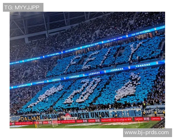 大龙足球明星最新阵容揭晓球迷期待新赛季精彩表现